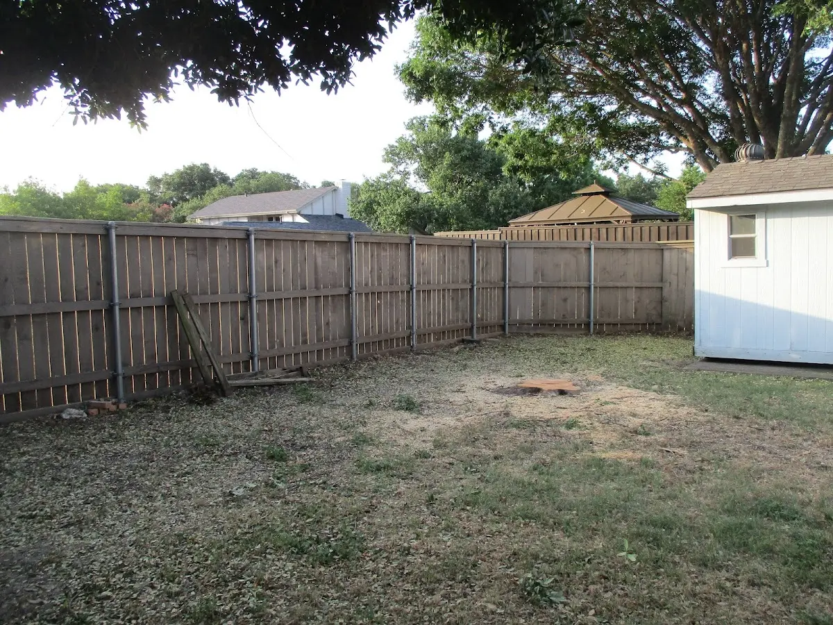 Cleared yard after professional tree removal in South Heart
